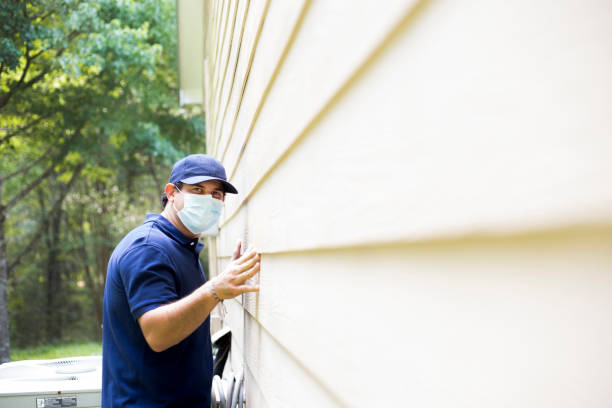 Best Brick Veneer Siding  in Ricardo, TX